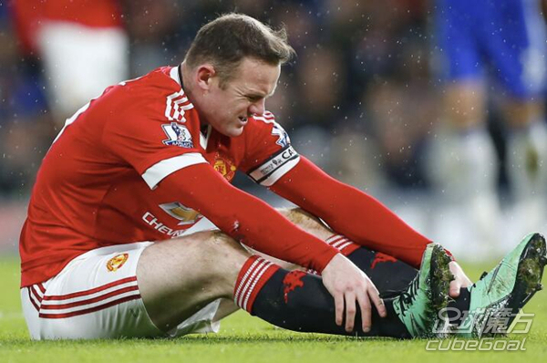 天天向上免费综艺在线